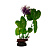Пластиковое растение Barbus Plant 013/30 